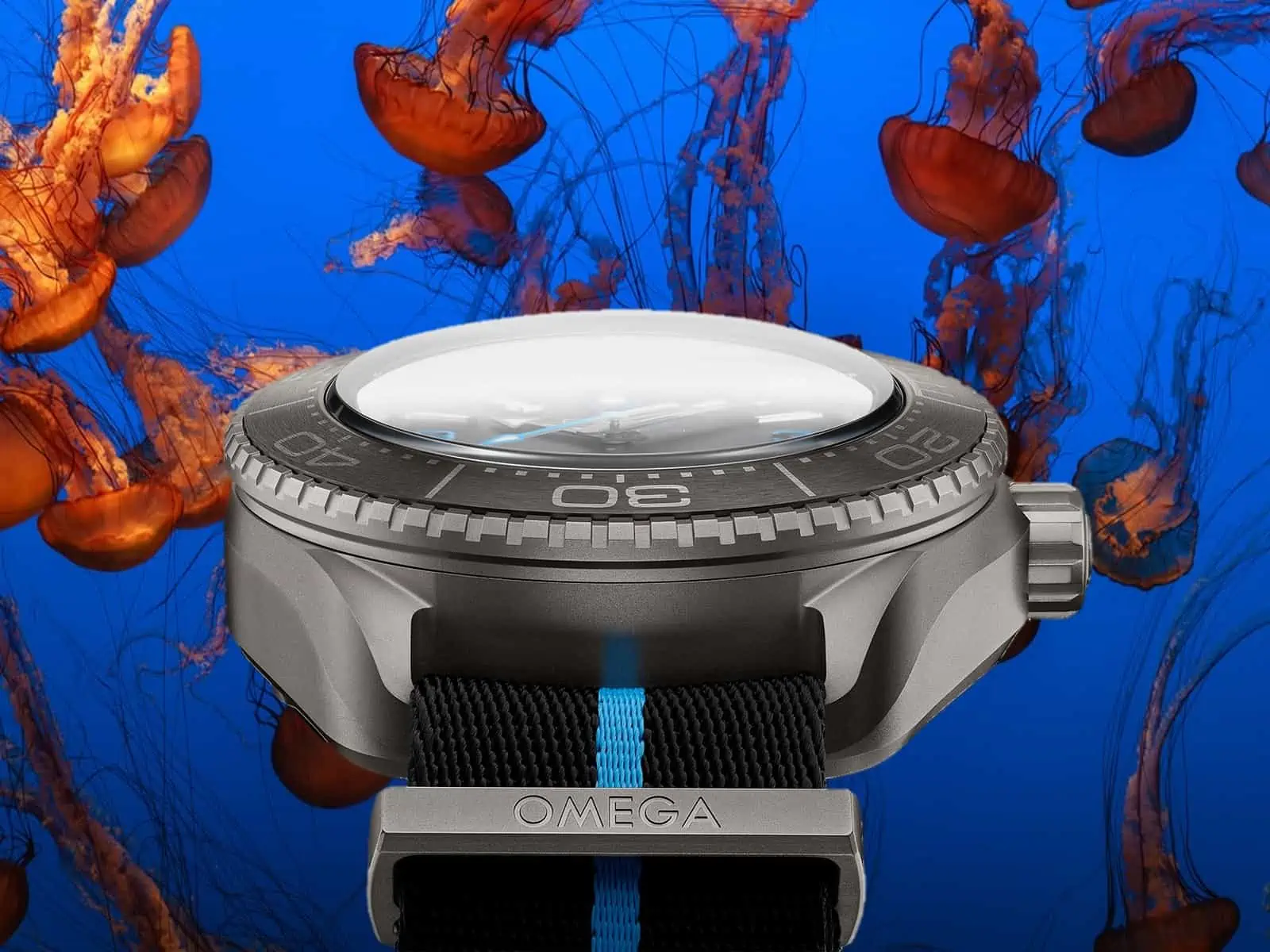 Side view of Omega Seamaster with coral background